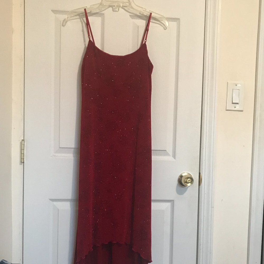 Sparkly Red Dress